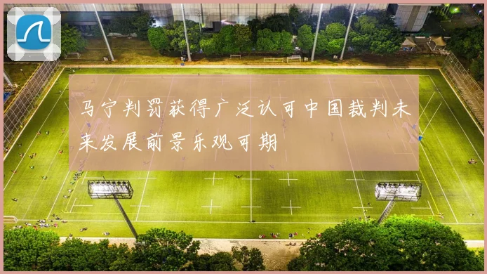 马宁判罚获得广泛认可中国裁判未来发展前景乐观可期